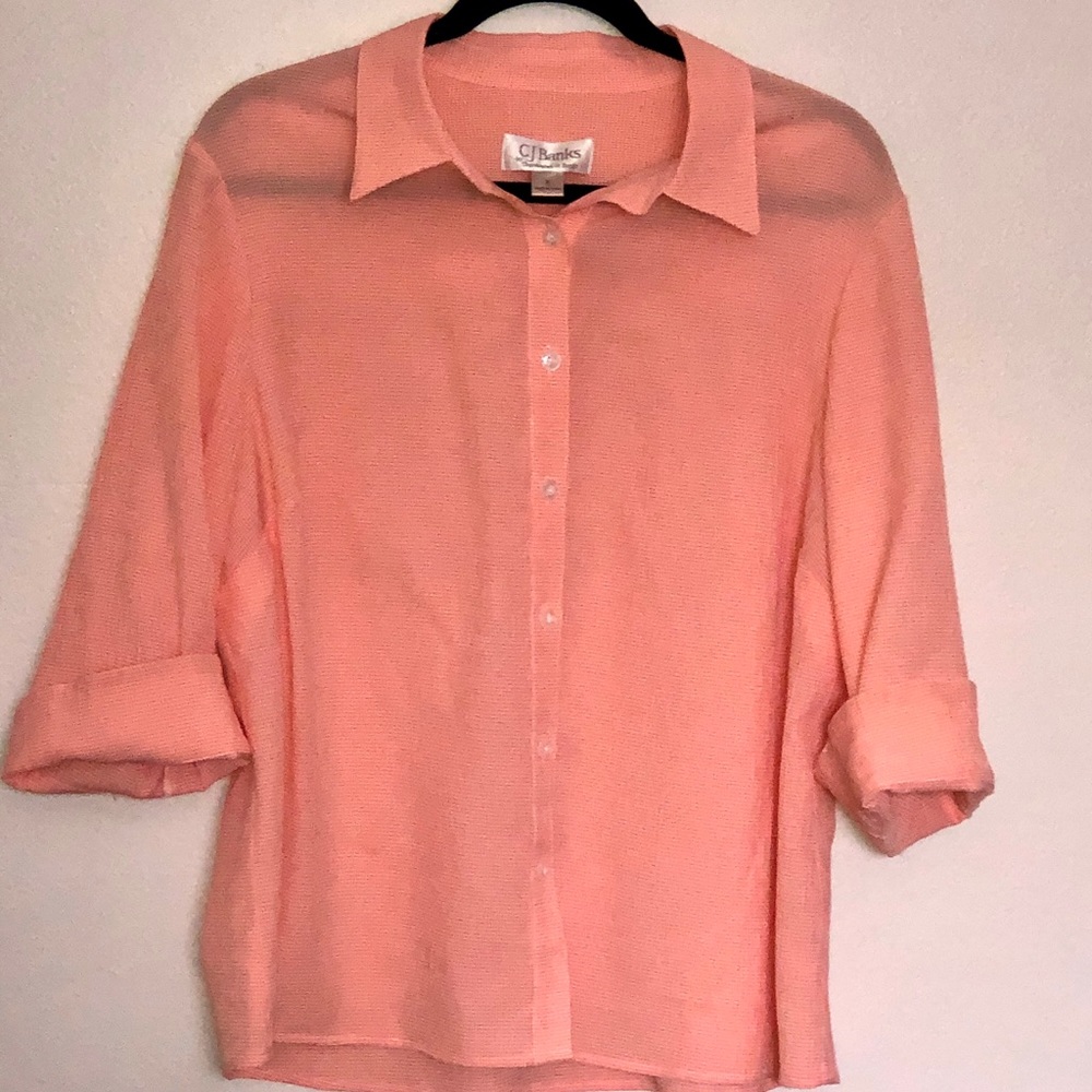 Spring Top by CJ Banks